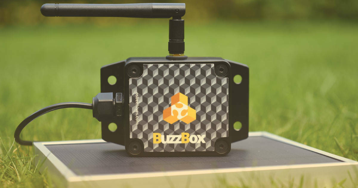 Buzzbox