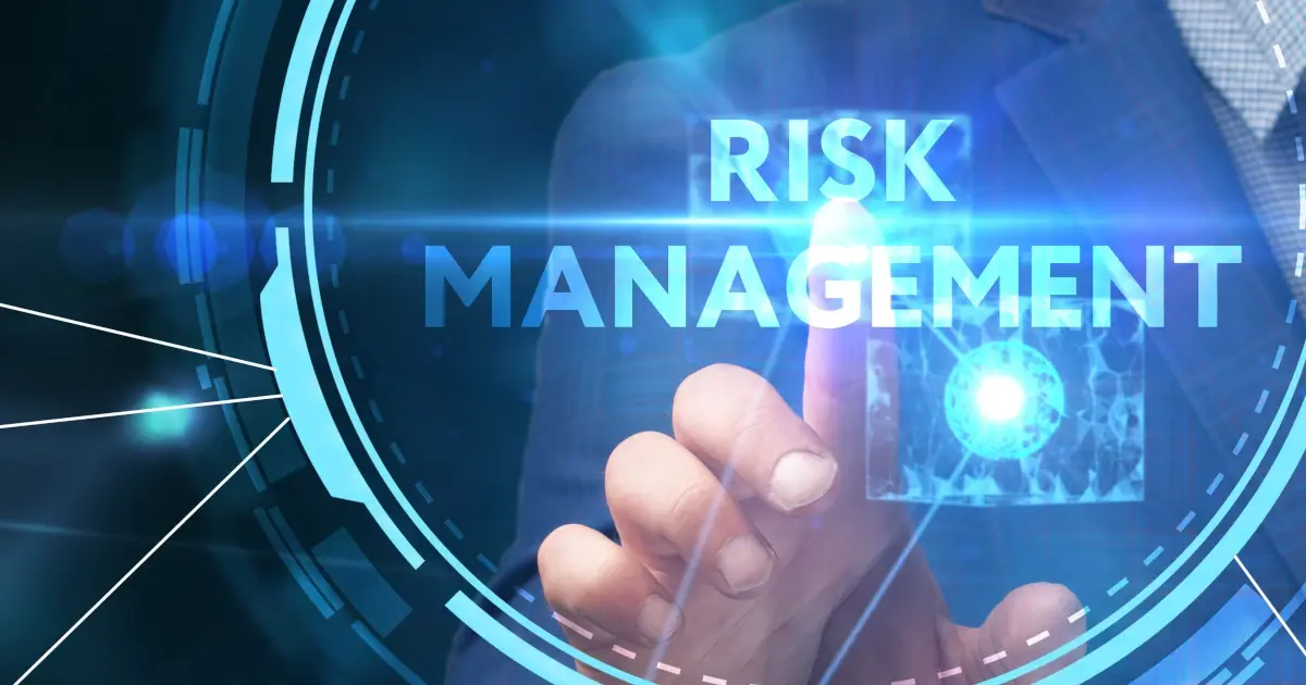 Risk management strategies smaller electronics companies