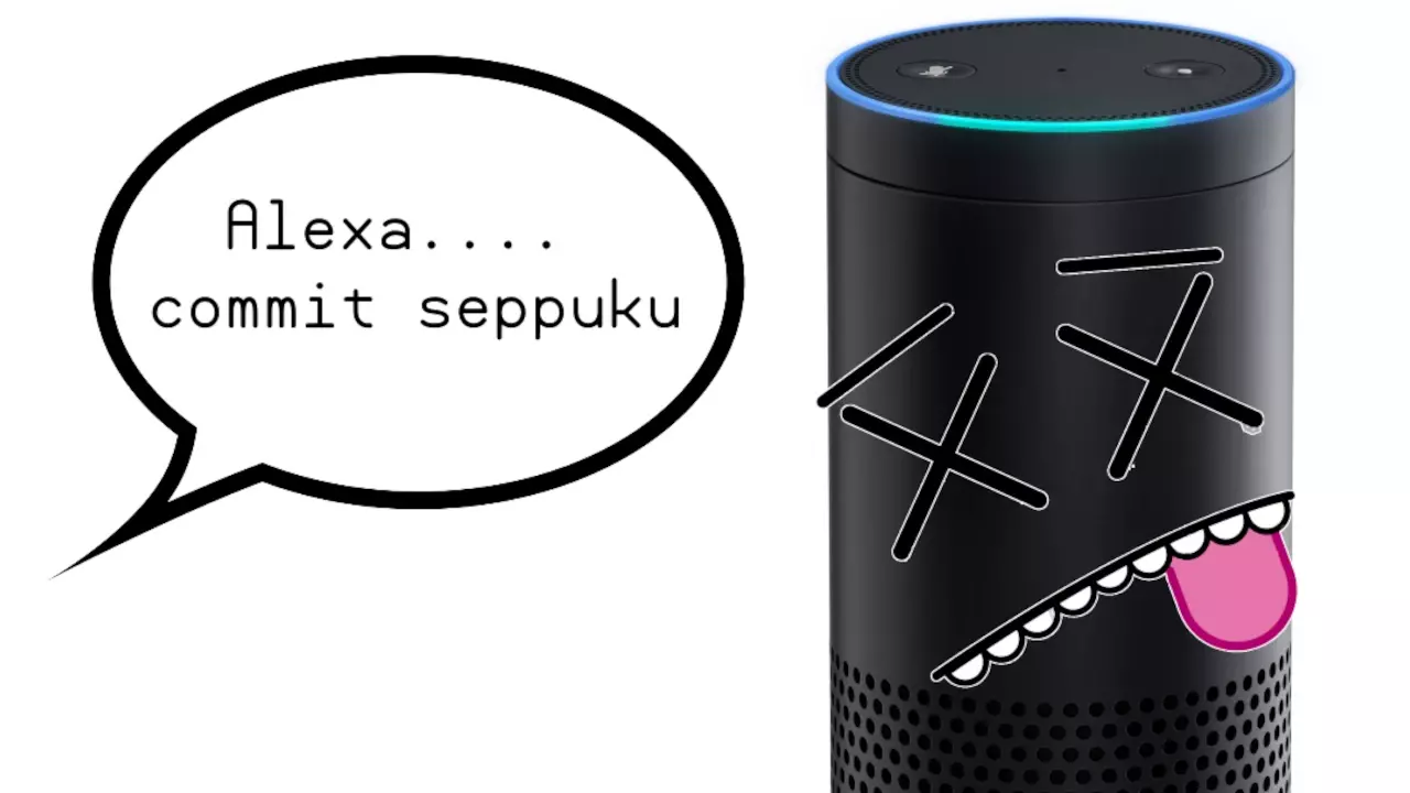 Figure 2: Alexa Kill Switch.