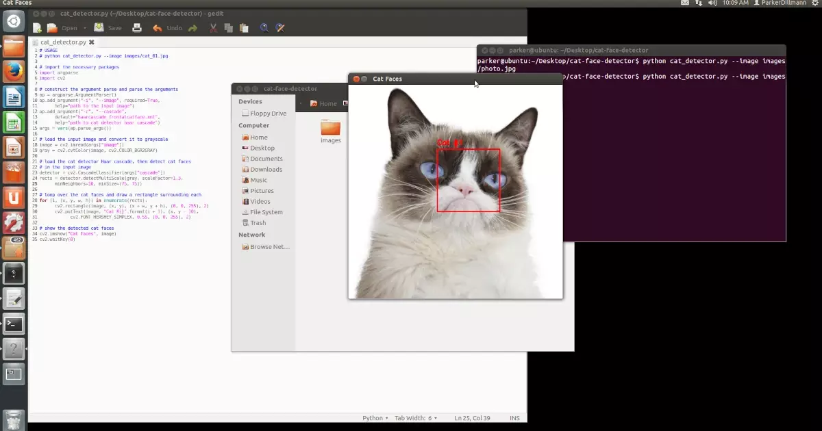 Reverse Biasing Opamps
